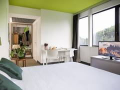 Zimmerbild 46
