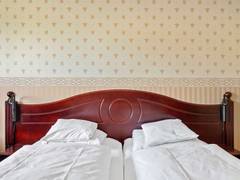 Zimmerbild 4