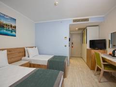 Zimmerbild 3