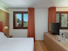 Zimmerbild 2