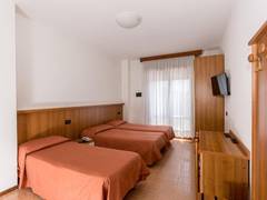 Zimmerbild 4
