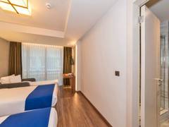 Zimmerbild 5