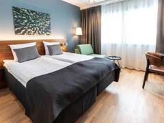 Zimmerbild 11