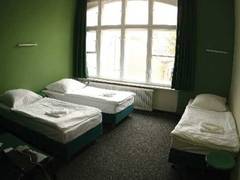 Zimmerbild 3