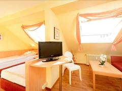 Zimmerbild 8