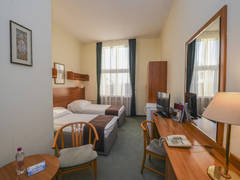 Zimmerbild 3