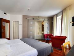 Zimmerbild 8