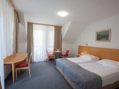 Zimmerbild 1