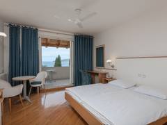 Zimmerbild 3