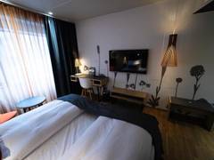 Zimmerbild 41