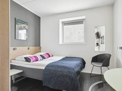 Zimmerbild 2