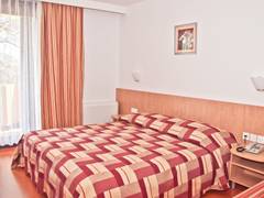Zimmerbild 8