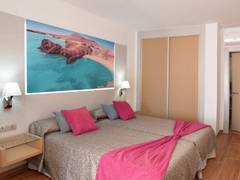 Zimmerbild 4