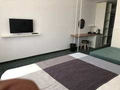 Zimmerbild 11