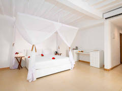 Zimmerbild 1