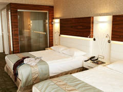 Zimmerbild 5