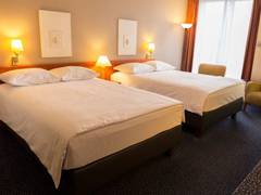 Zimmerbild 1