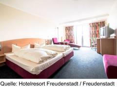 Zimmerbild 2