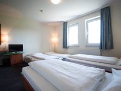 Zimmerbild 3