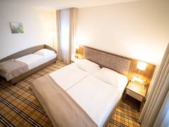 Zimmerbild 6