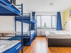 Zimmerbild 2