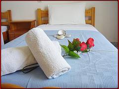 Zimmerbild 3