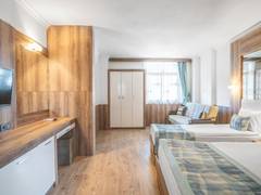 Zimmerbild 6