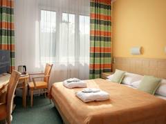 Zimmerbild 1