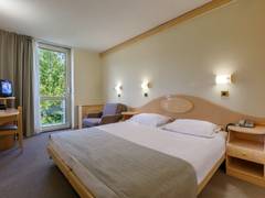 Zimmerbild 4