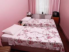 Zimmerbild 1