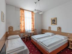 Zimmerbild 12