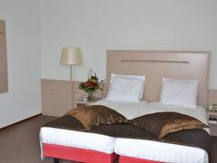 Zimmerbild 1