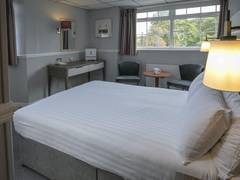Zimmerbild 2