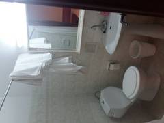 Zimmerbild 1
