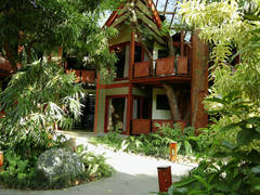 Zimmerbild 6
