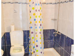 Zimmerbild 1