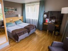 Zimmerbild 4