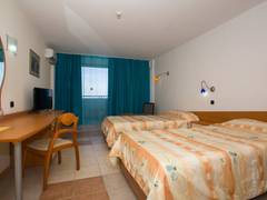 Zimmerbild 9