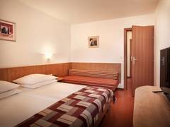 Zimmerbild 8