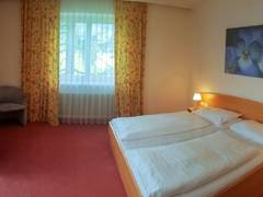 Zimmerbild 6
