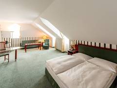 Zimmerbild 5