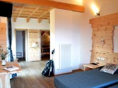 Zimmerbild 6