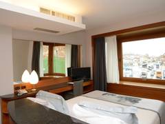 Zimmerbild 6