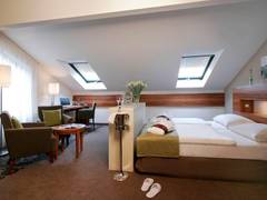 Zimmerbild 5