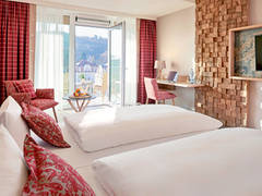 Zimmerbild 8