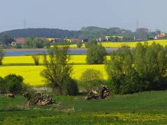 Zimmerbild 2