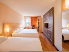 Zimmerbild 13