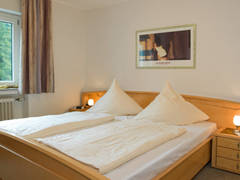 Zimmerbild 12