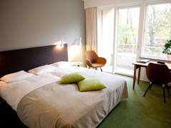 Zimmerbild 22