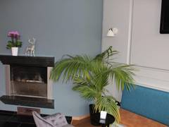 Zimmerbild 3